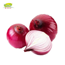 Wholesale Fresh Red Onions